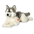 Grande Peluche Husky Couché – 60 cm