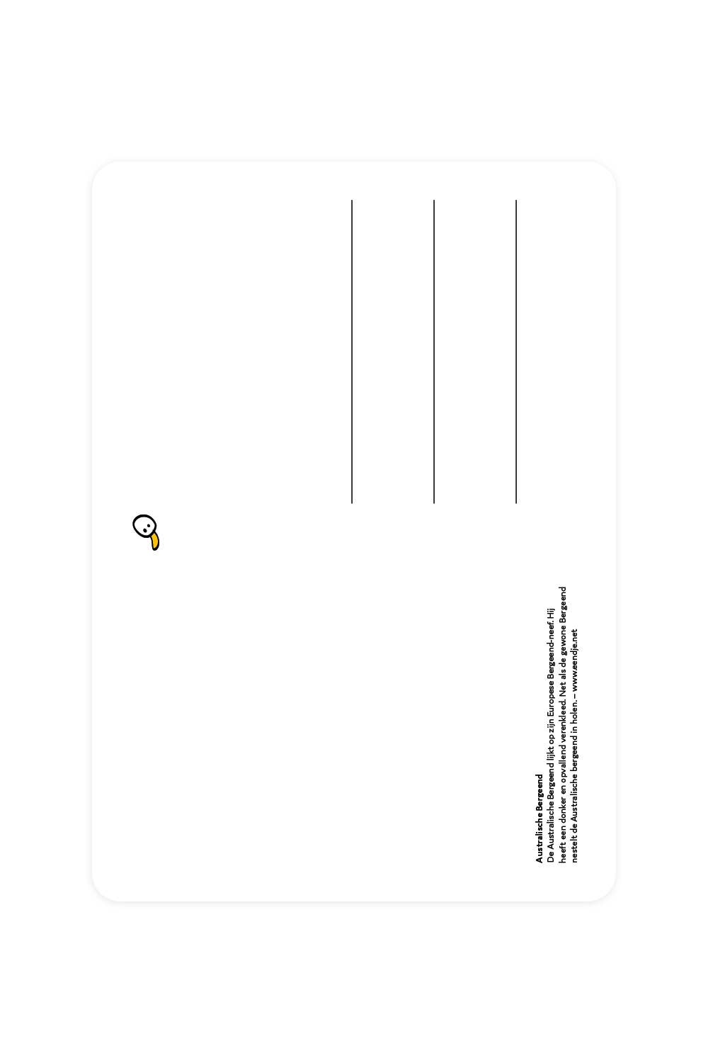 Postcard with Australian Shelduck