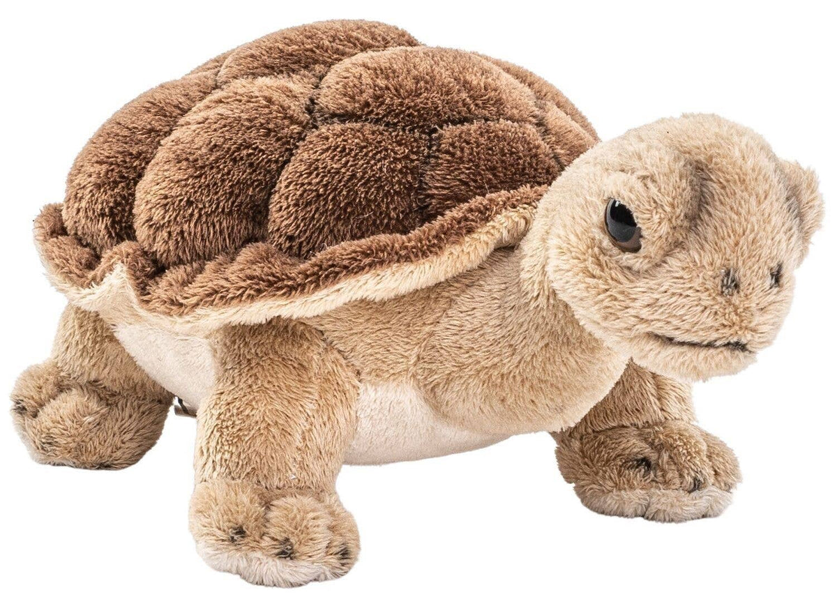 Turtle plush toy