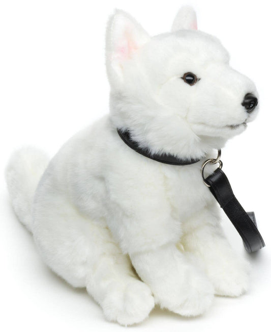 Plush Swiss Shepherd Puppy Sitting with Leash