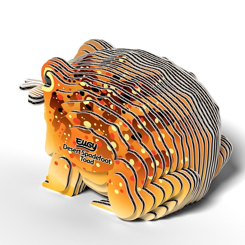 eugy 117 desert spadefoot toad