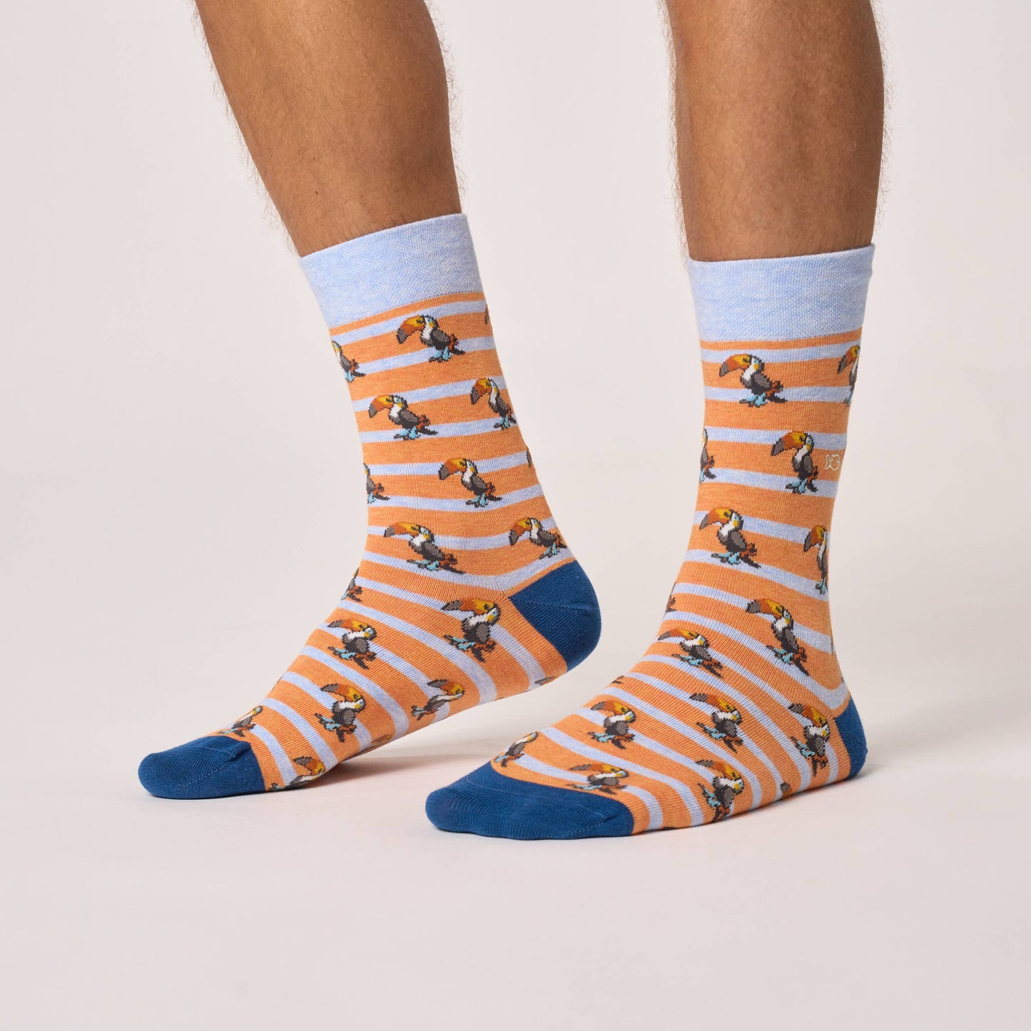 Combed cotton animal socks - Toucan