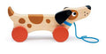 Pulling Dog