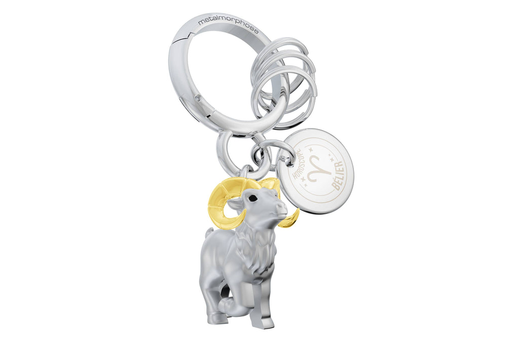 Sleutelhanger met sterrenbeeld