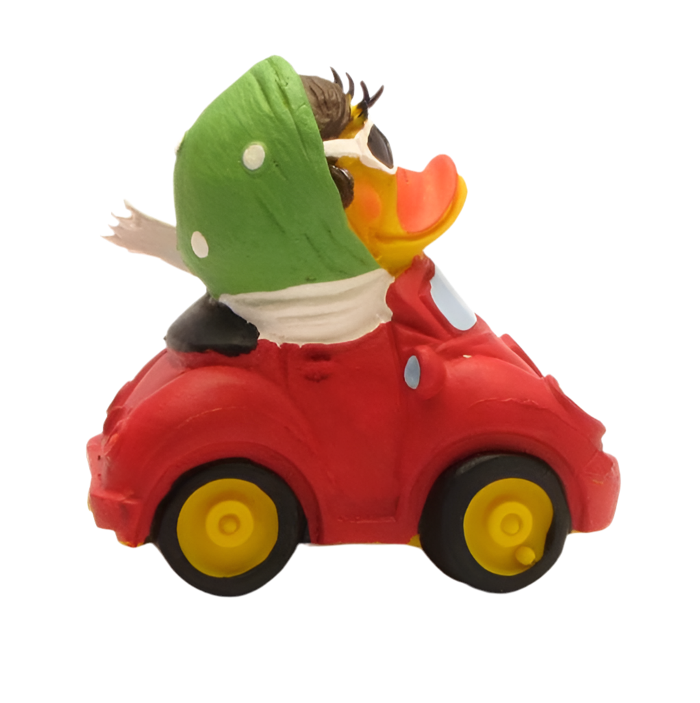 Convertible Duck