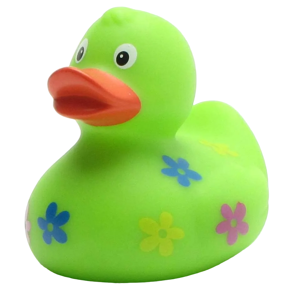 Floral Duck