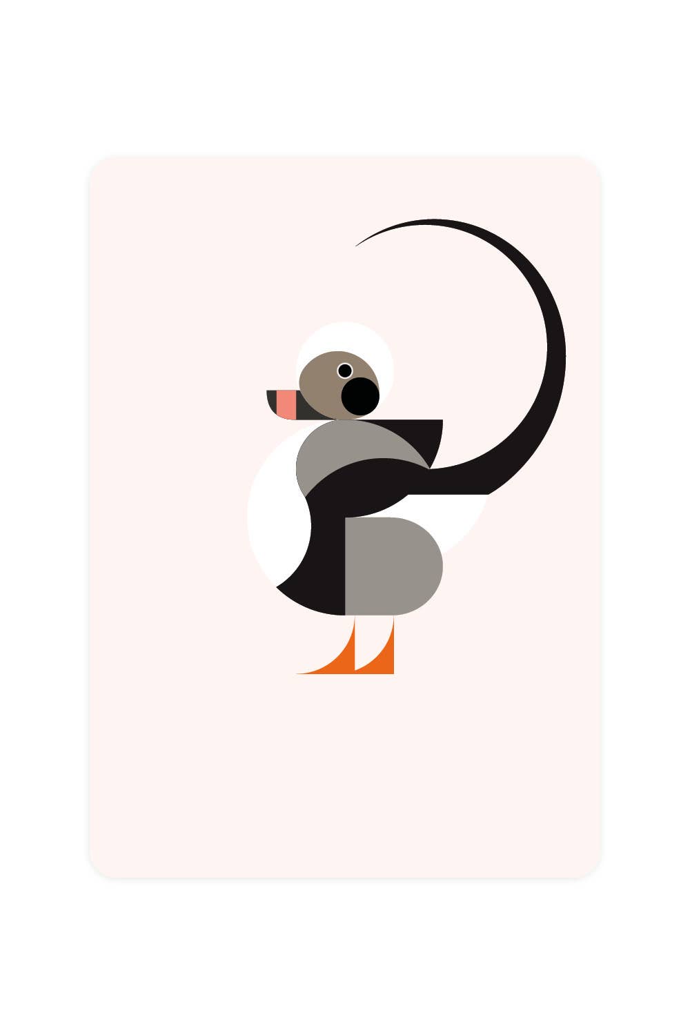Postcard with long-tailed duck