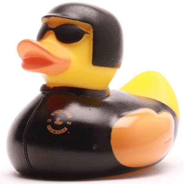 Canard Bikerman