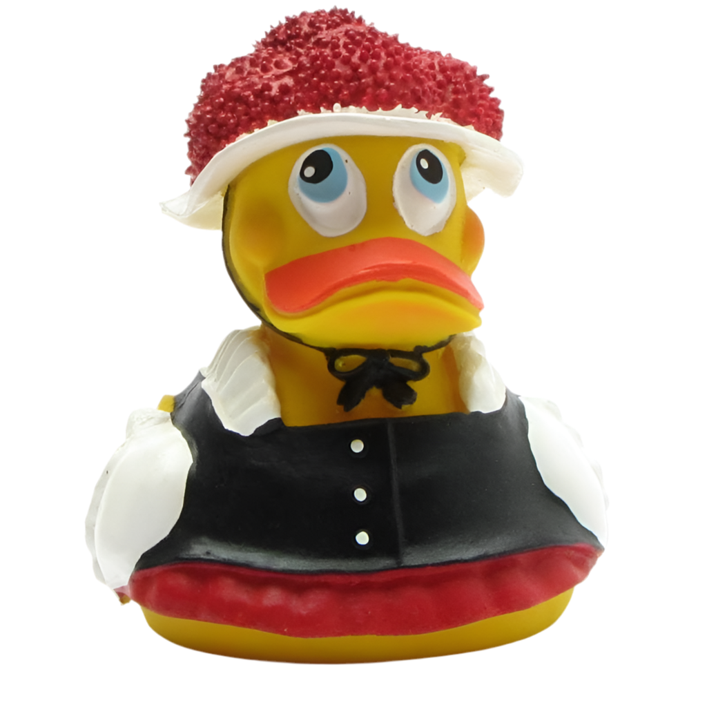 Zwarte Woud-eend