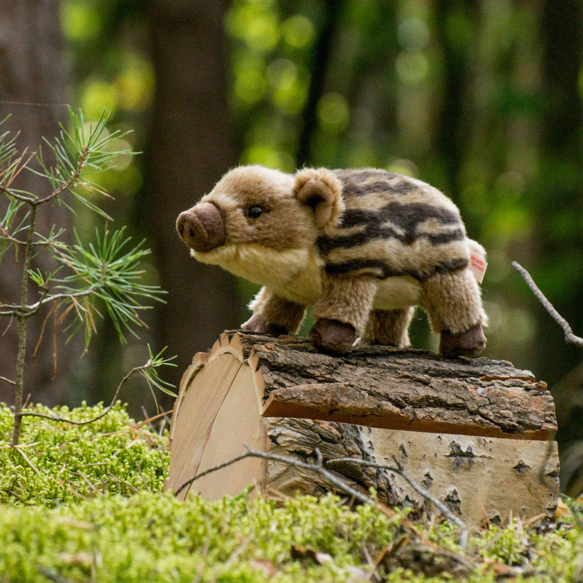 Wild Boar Piglet Plush