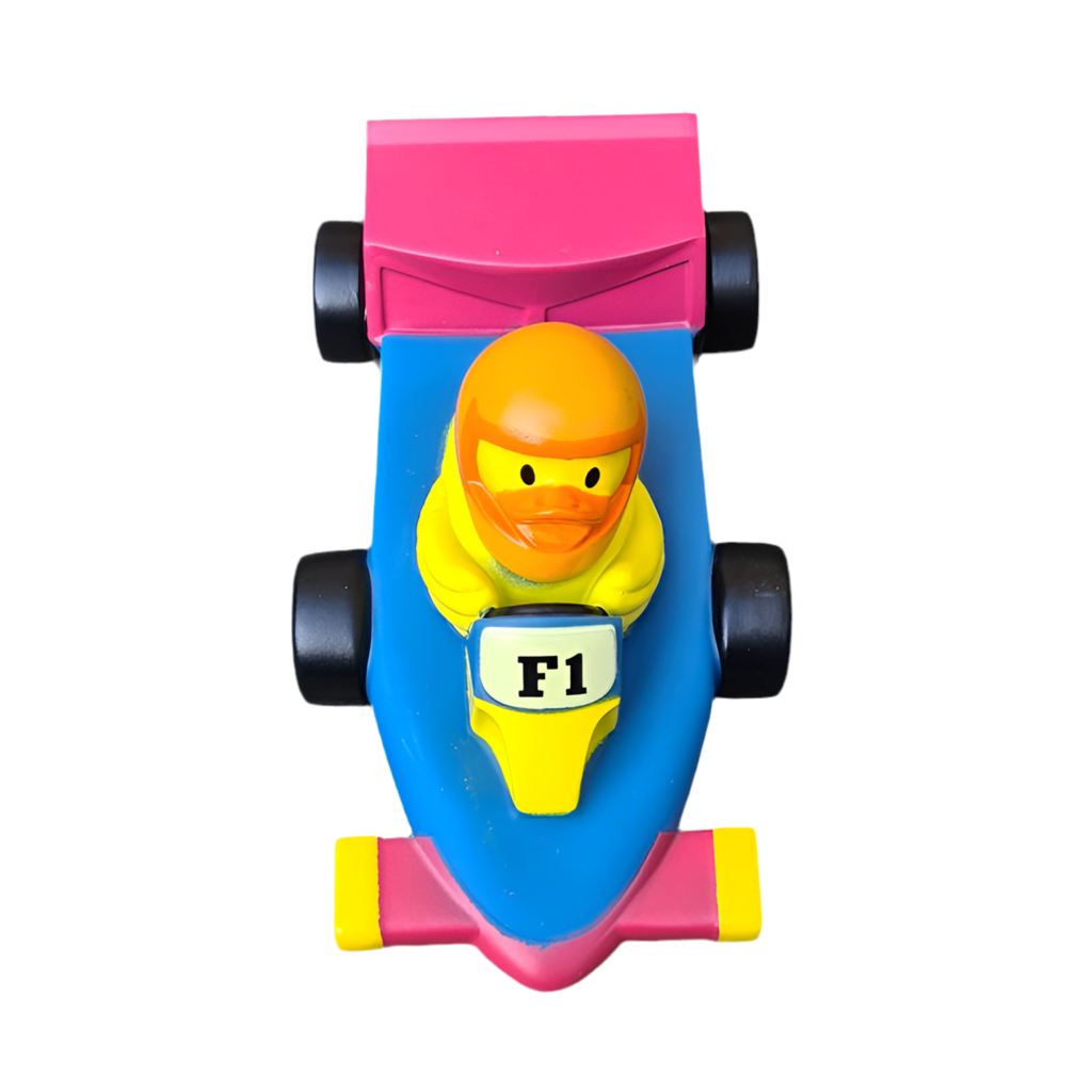 Canard Voiture de course F1