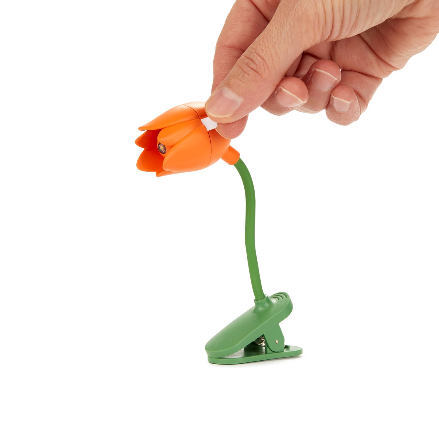 Orange Tulip Reading Light