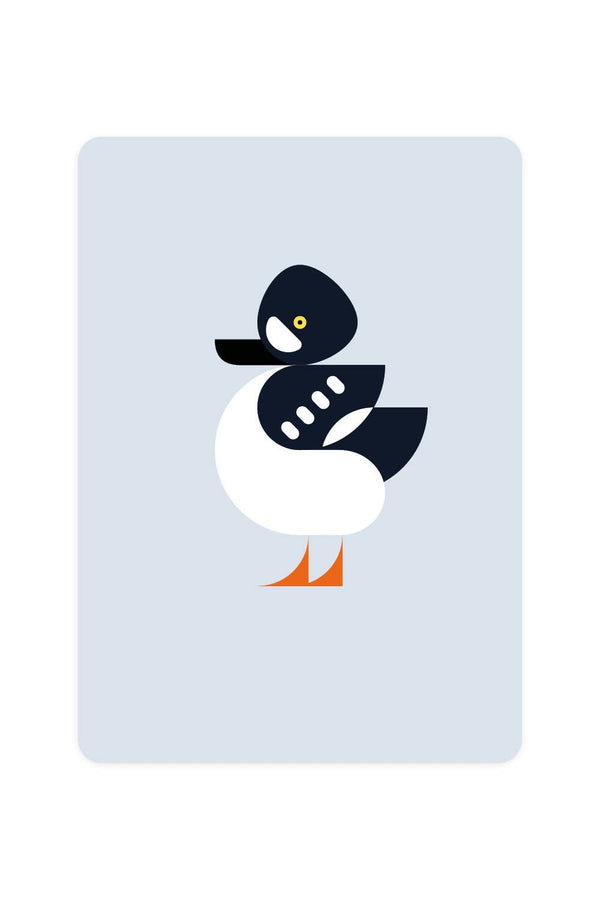 Postcard with Barrow's Goldeneye