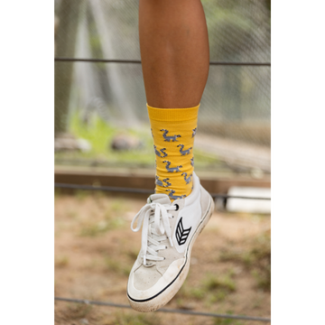 Chaussettes « Lémuriens » - Chulé