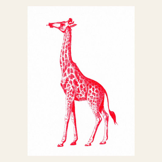 Carte postale Girafe Rouge