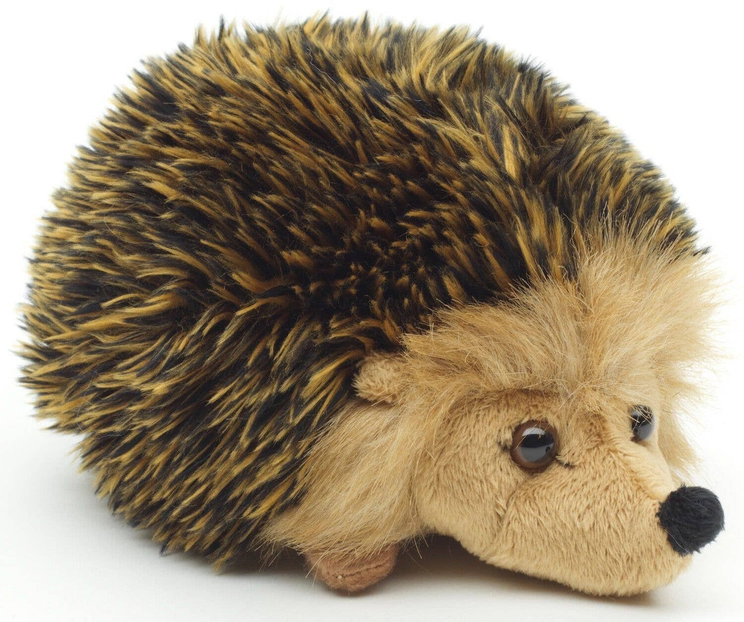 Hedgehog Plush Toy