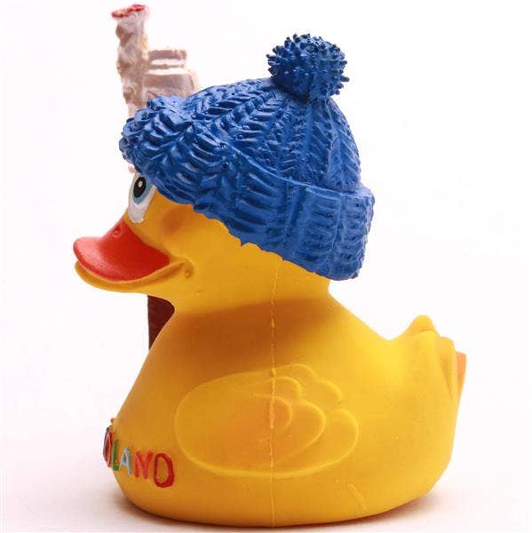 Helgoland Duck