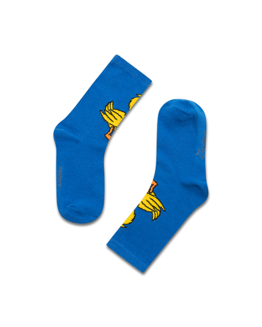 Flida de Eend Sokken