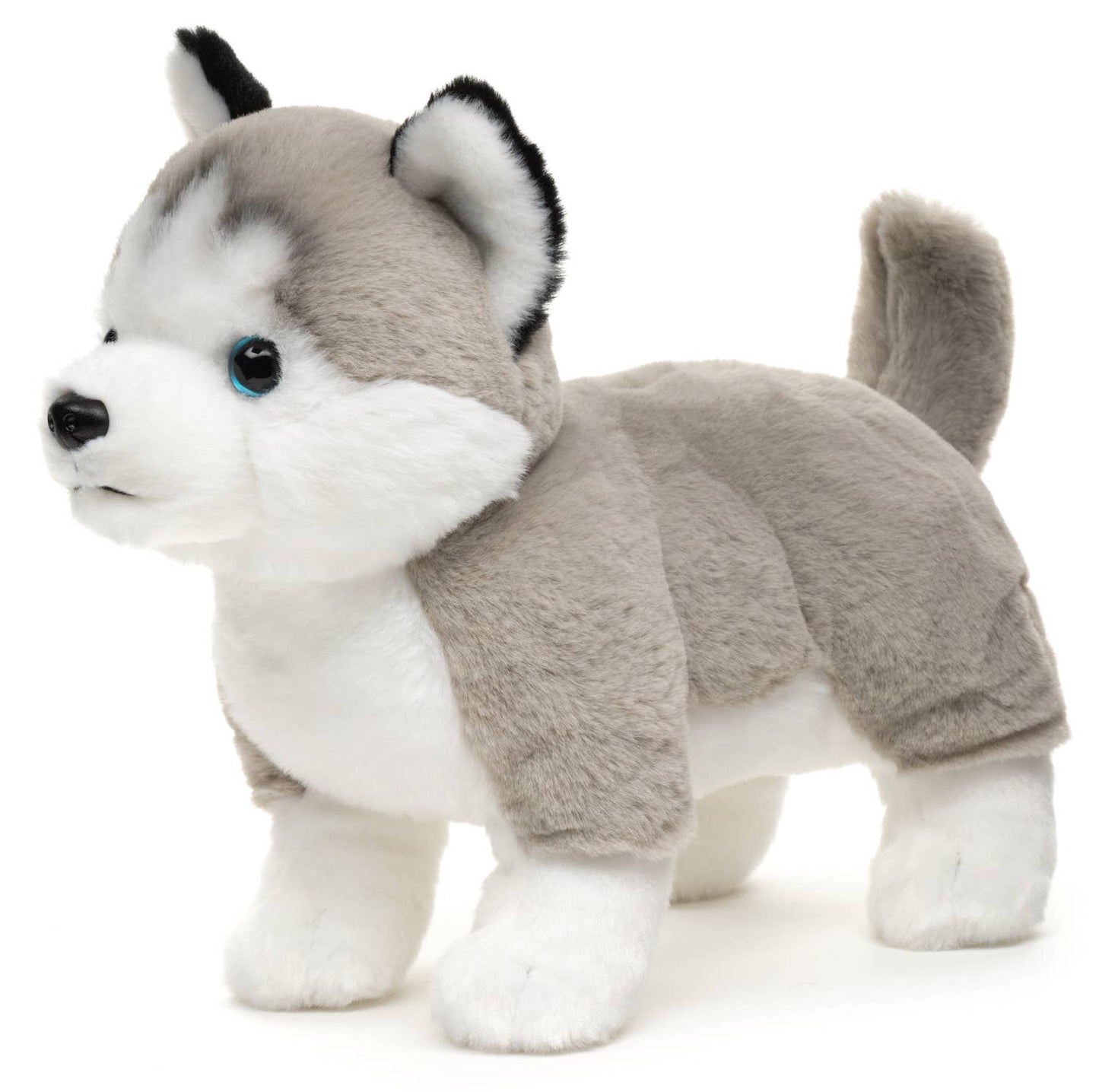 Peluche Husky gris, debout