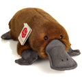 Peluche Ornithorynque – 35 cm