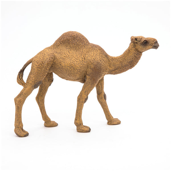 Figurine Dromadaire Papo - animal sauvage