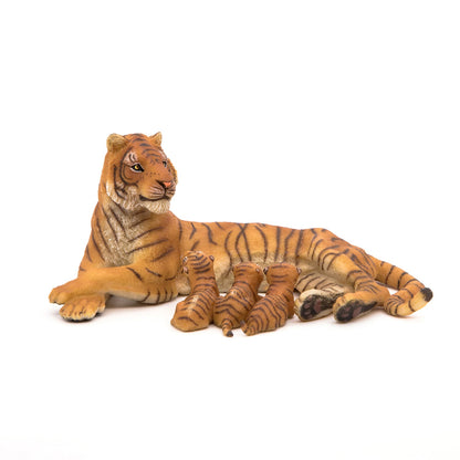 Lying Tigress nursing a cub