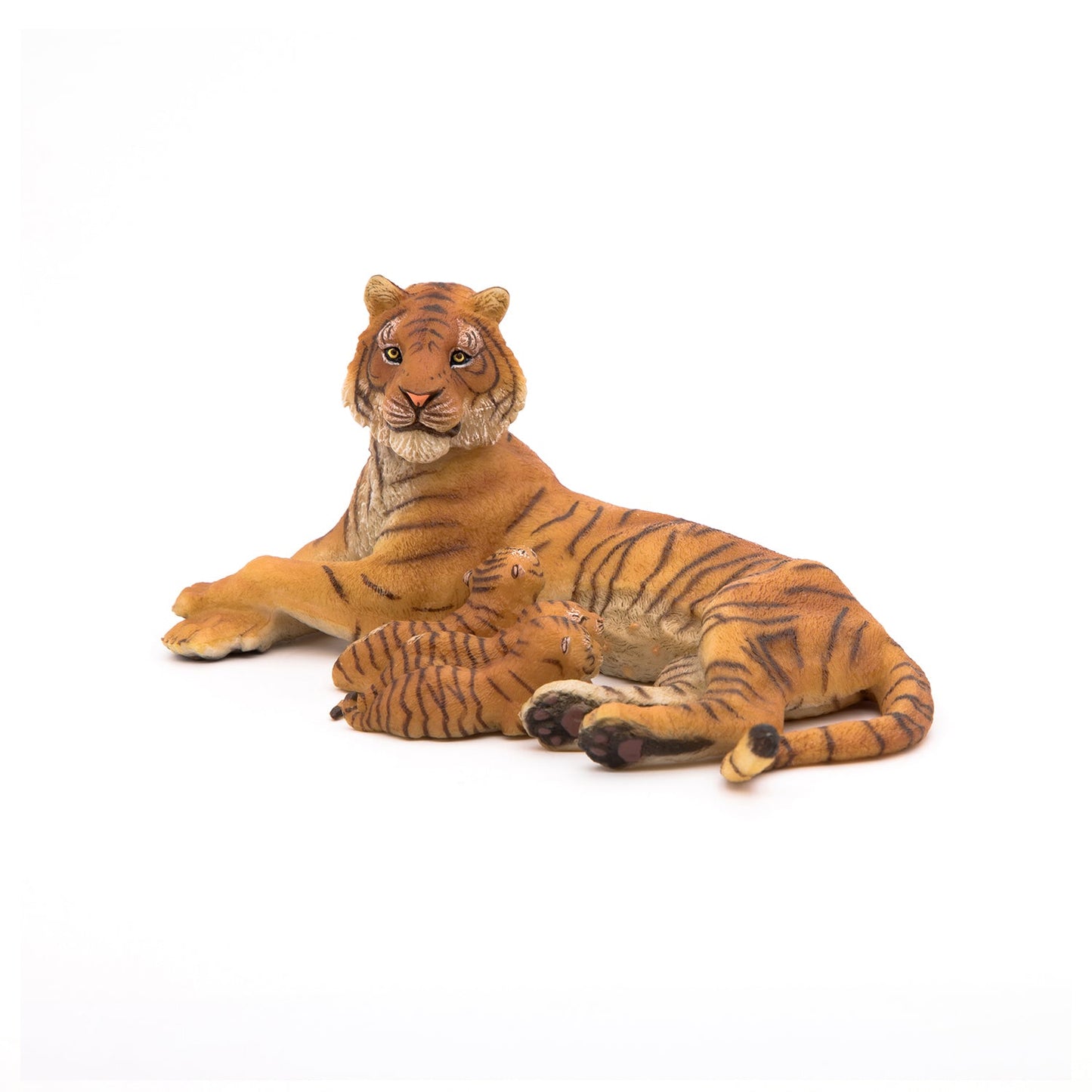 Lying Tigress nursing a cub