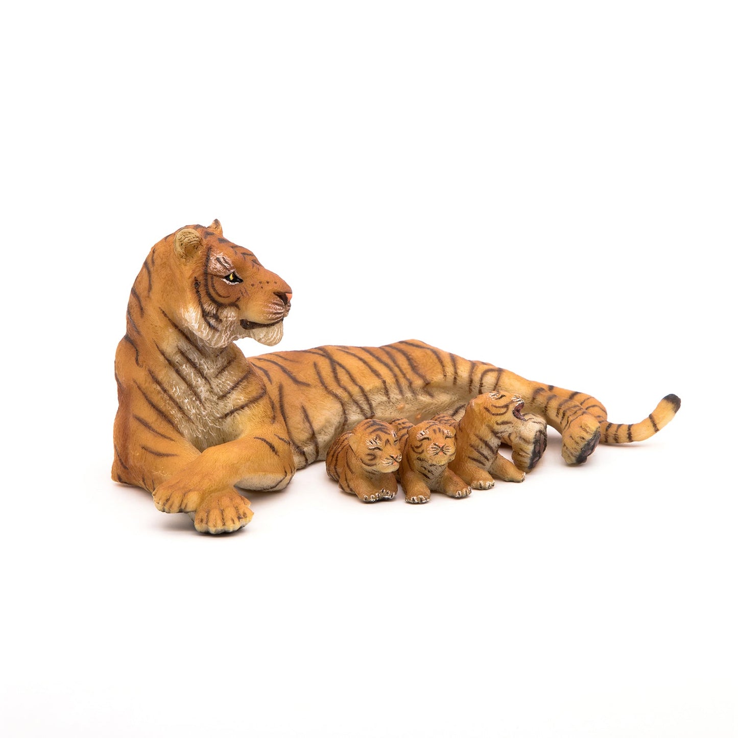 Lying Tigress nursing a cub
