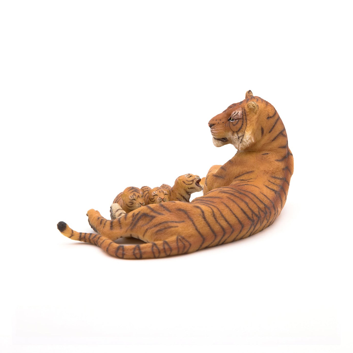 Lying Tigress nursing a cub