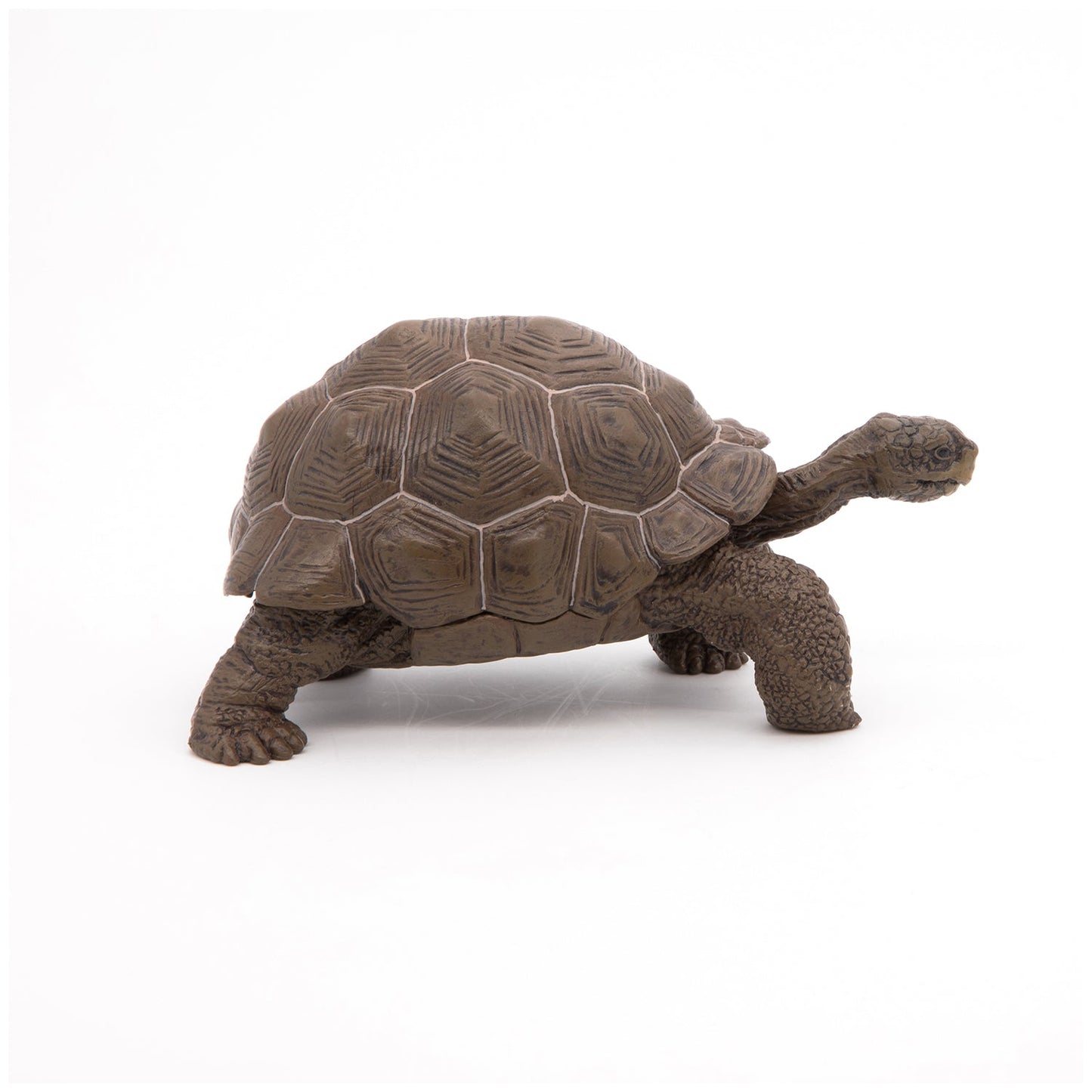 Galapagos Tortoise Figurine