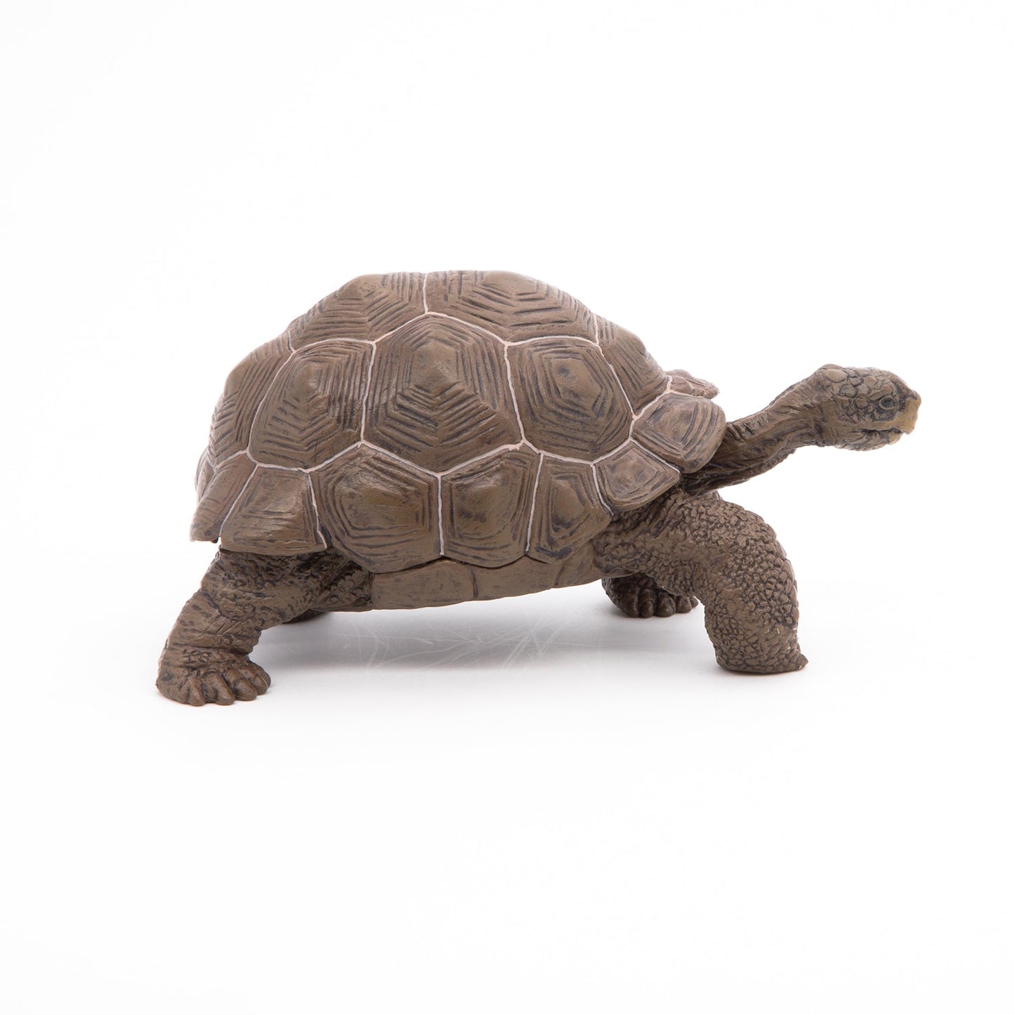 Galapagos Tortoise Figurine