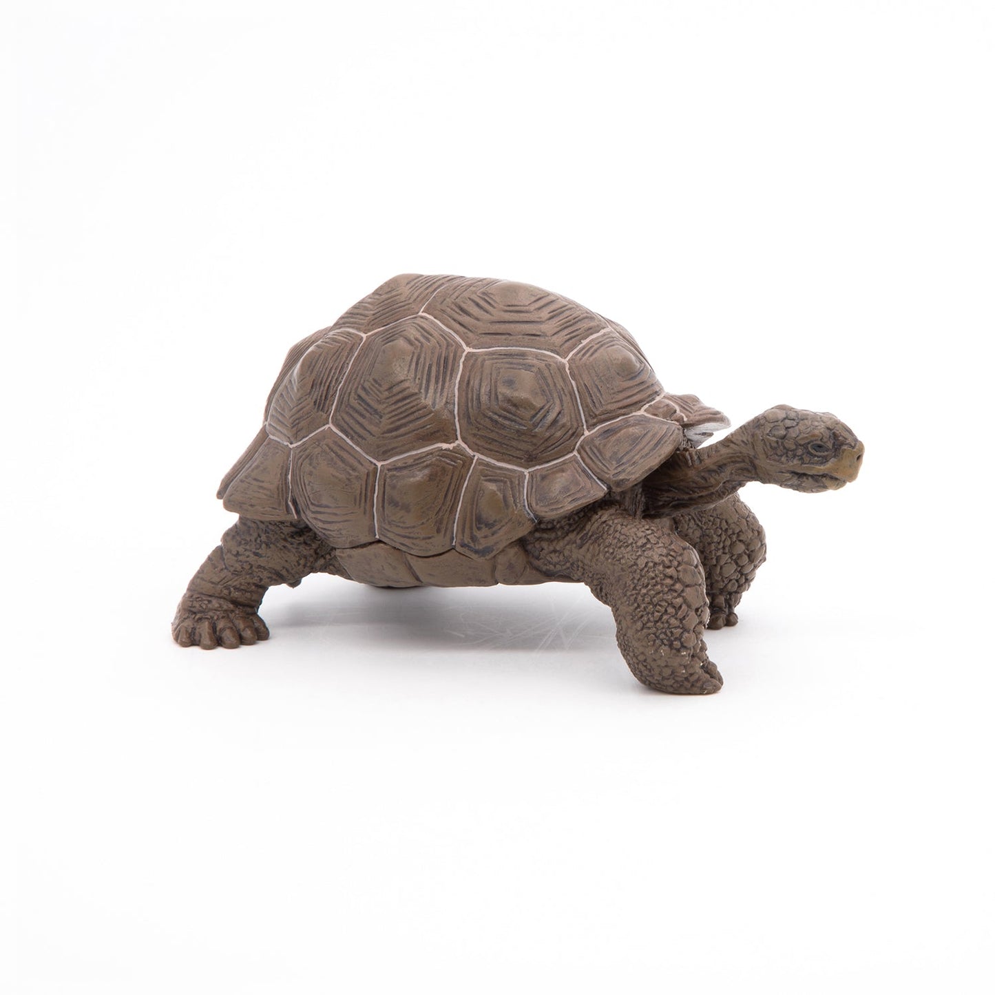 Galapagos Tortoise Figurine