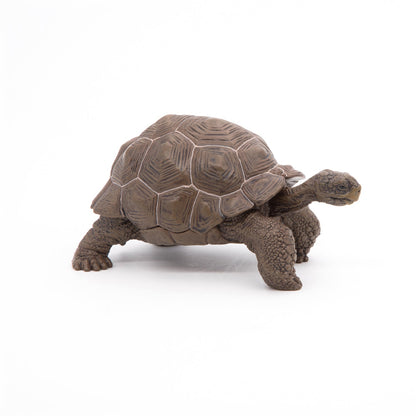Galapagos Tortoise Figurine