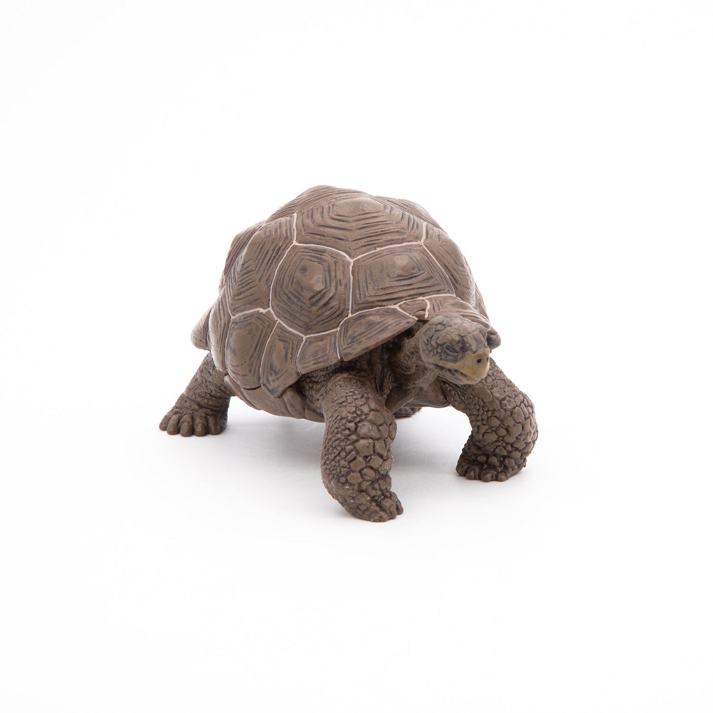 Galapagos Tortoise Figurine