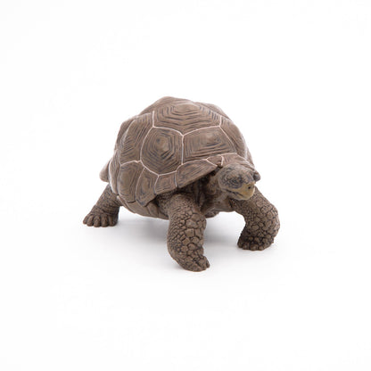 Galapagos Tortoise Figurine
