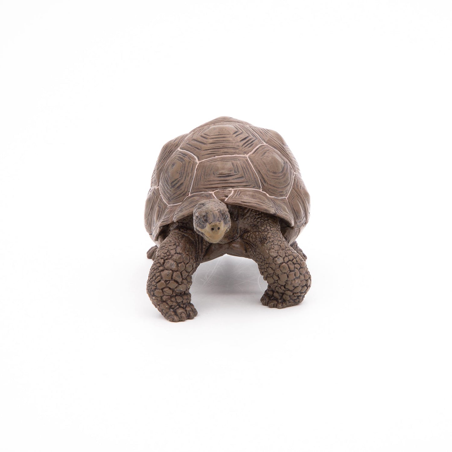 Galapagos Tortoise Figurine