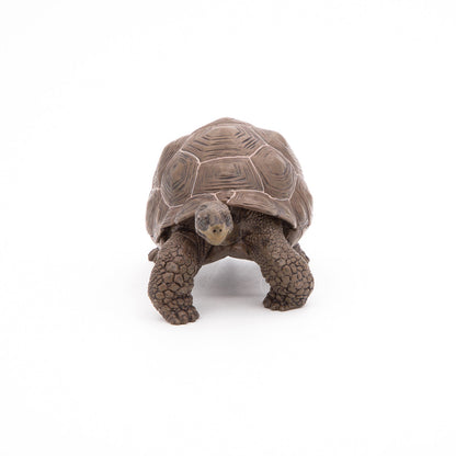 Galapagos Tortoise Figurine