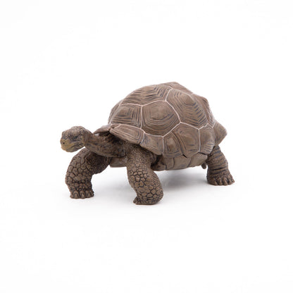 Galapagos Tortoise Figurine