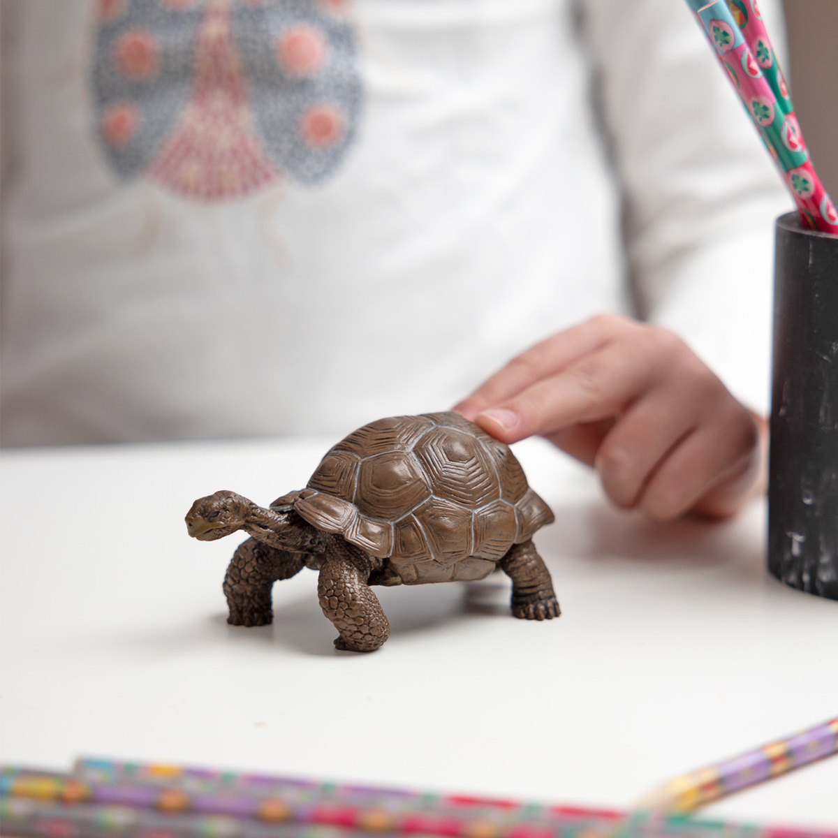 Galapagos Tortoise Figurine