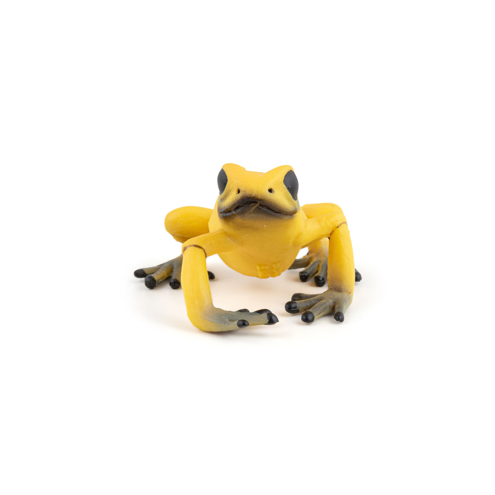 Figurine Grenouille équatoriale jaune