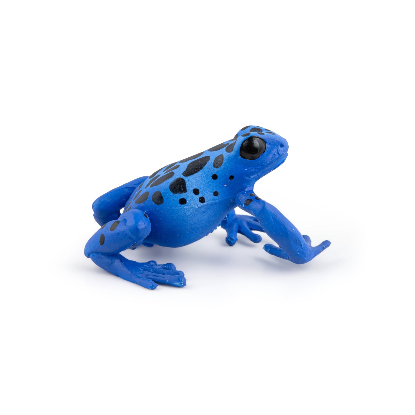 Blue Ecuadorian Tree Frog Figurine