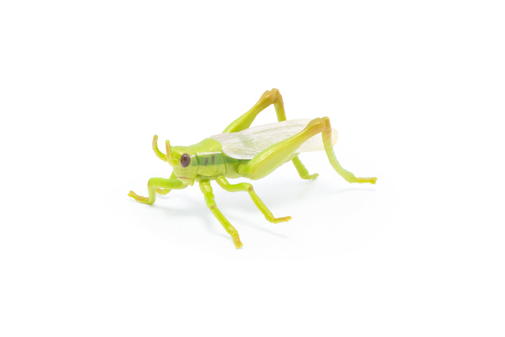 Figurine Sauterelle