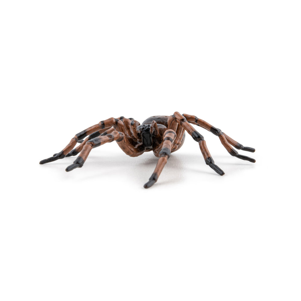 Figurine Araignée commune