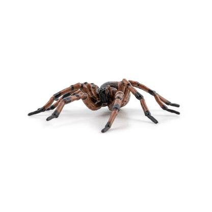 Figurine Araignée commune Papo - animal du jardin