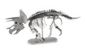 Triceratops-skelet