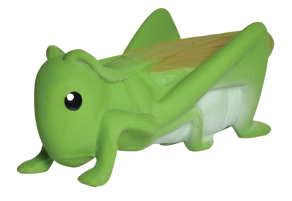 Mon Premier Insecte Sauterelle