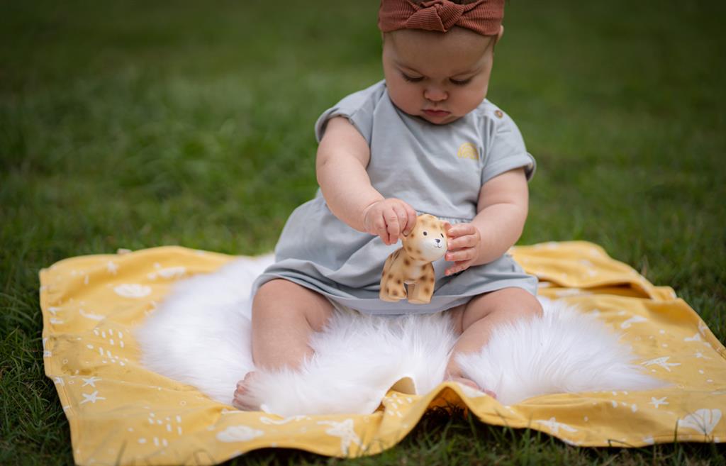 mon premier animal safari leopard tikiri 