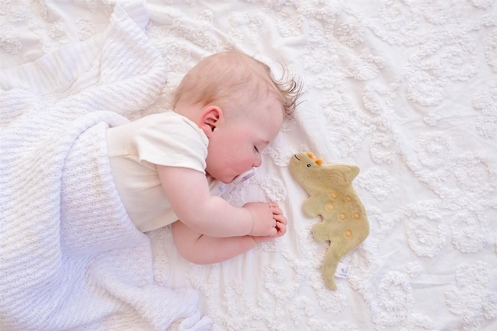 Crinkle Toy Soft Dinausore Triceratops