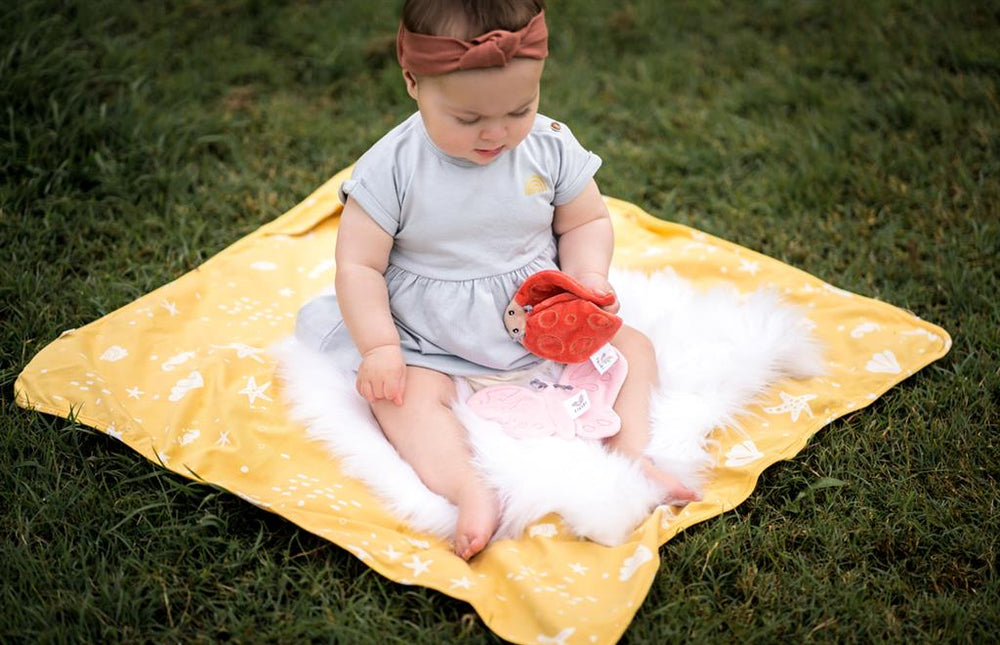 Ladybug Crinkle Toy