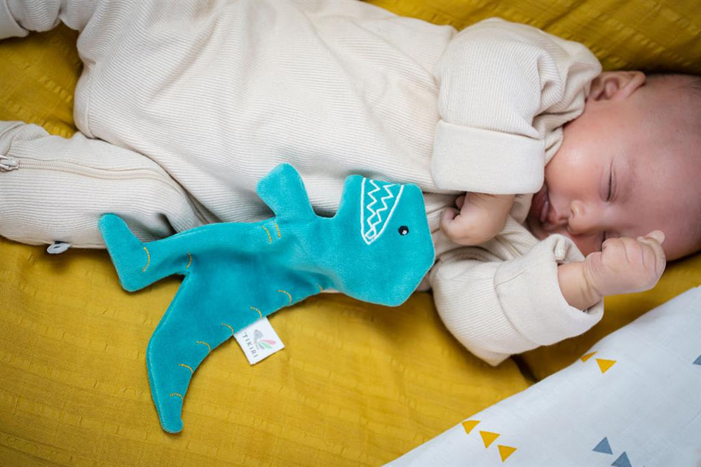 T‑Rex Crinkle Toy